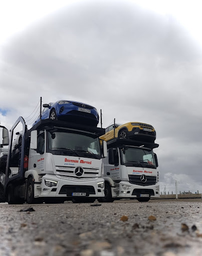 Grúas Sisanauto transporte de coches en cuenca con grúas sisanauto